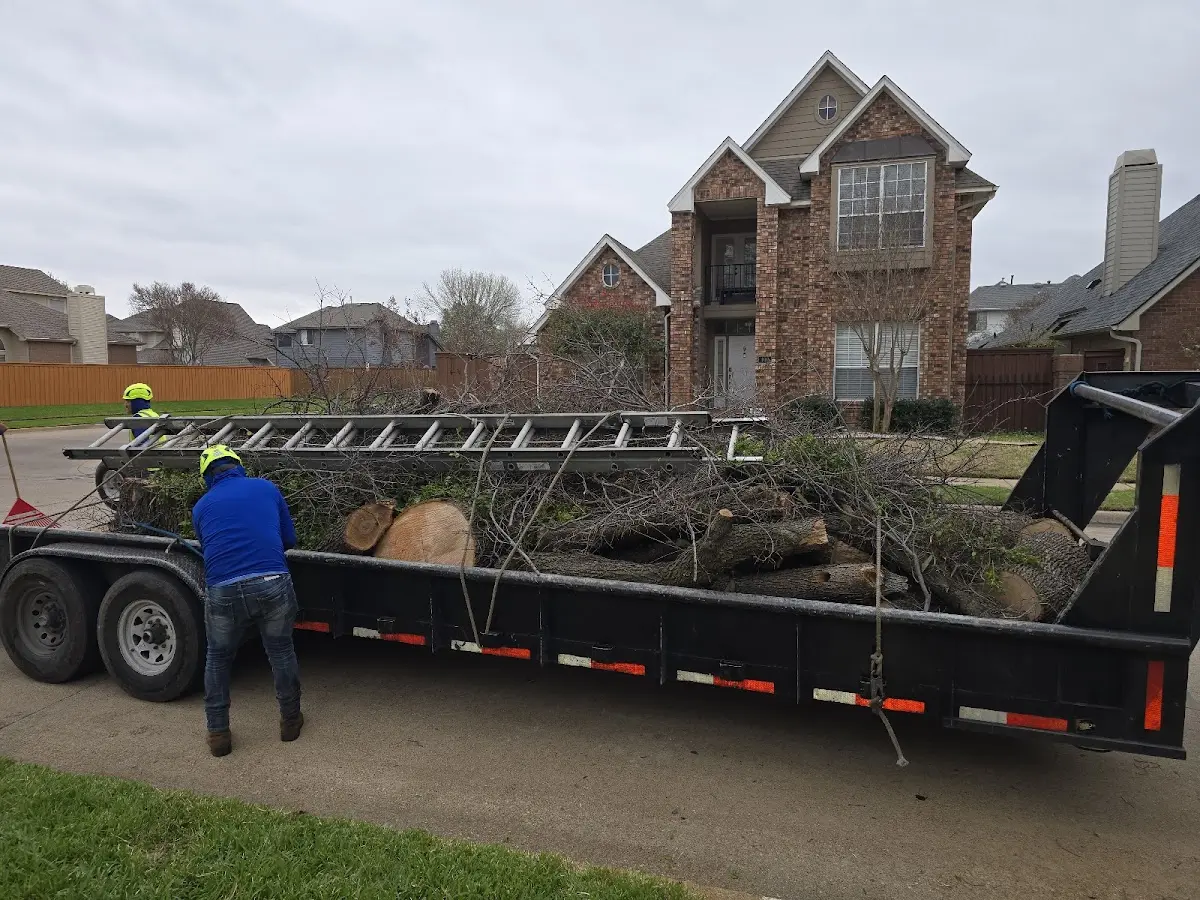 Expert Tree Fertilization with proper safety equipment in Albert Lea